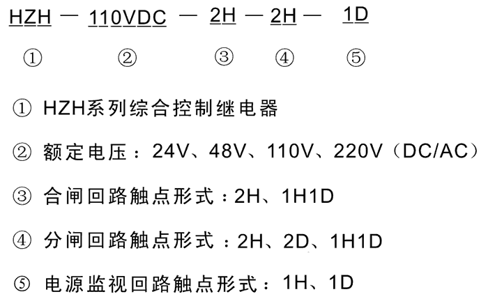 HZH-220VAC-1H1D-1H1D-1D型号及其含义